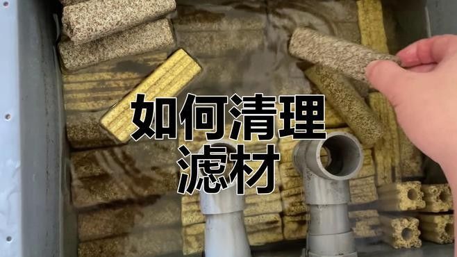生化過濾層多久清洗一次？（奧利仕魚池過濾棉多久換一次魚缸過濾棉多久清洗一次）