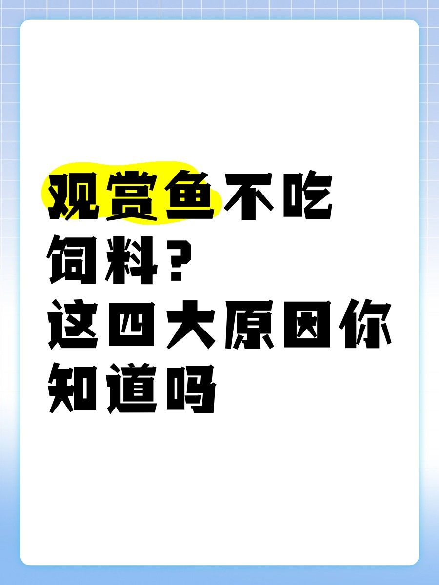 雷龍魚不吃飼料怎么辦？（雷龍魚不吃飼料怎么辦）
