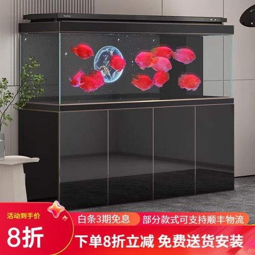 龍魚缸需要哪些設備（魚缸設備清單龍魚缸設備清單，龍魚缸設備清單及設備） 龍魚缸需要哪些設備（魚缸設備清單龍魚缸設備清單，龍魚缸設備清單及設備） 龍魚百科 第3張