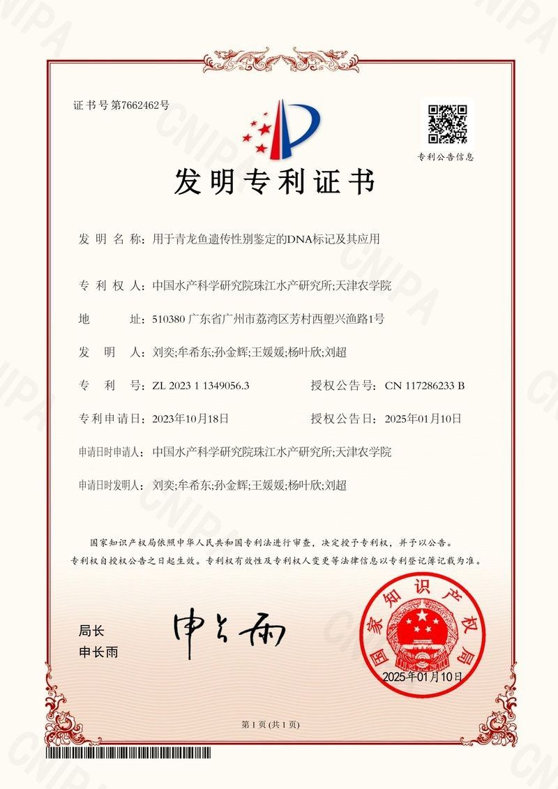青龍魚繁殖難度大嗎（青龍魚的繁殖難度有多大？）