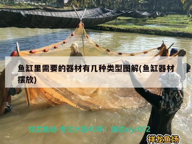 上饒水族館大晚上的來個(gè)輕松點(diǎn)的音樂（上饒水族館大晚上來個(gè)輕松點(diǎn)的音樂魚魚聽了睡得香）