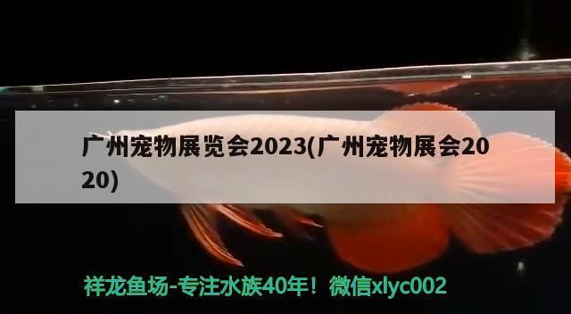 廣州寵物展覽會(huì)2023(廣州寵物展會(huì)2020)（2018廣州寵物展覽會(huì)2023）