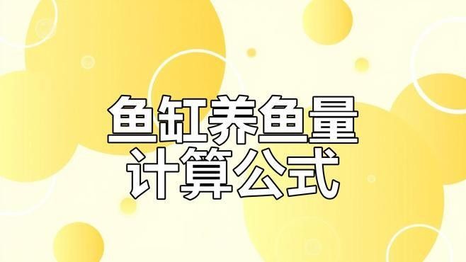 龍魚缸養魚密度如何計算（「養殖技巧」魚缸養幾條才科學記住這個公式不翻車）