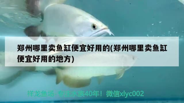 鄭州哪里賣魚缸便宜好用的(鄭州哪里賣魚缸便宜好用的地方)（鄭州哪里賣魚缸便宜好用）