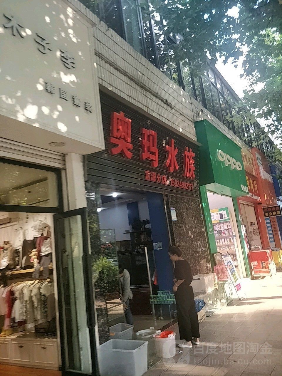 <strong><mark>富源</mark></strong>哪個水族館龍魚好？祥龍魚場龍魚（云南<strong><mark>富源</mark></strong>縣祥龍魚場）