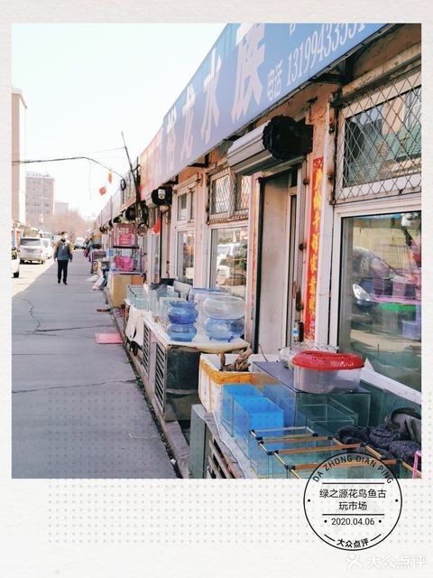 雞西龍魚批發有哪些市場？（西龍魚批發市場主要集中在黑龍江省雞西市這些市場）