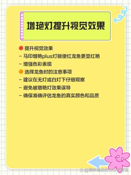 紅龍魚魚缸燈多久換一次（龍魚魚缸燈的使用期限與使用方法）