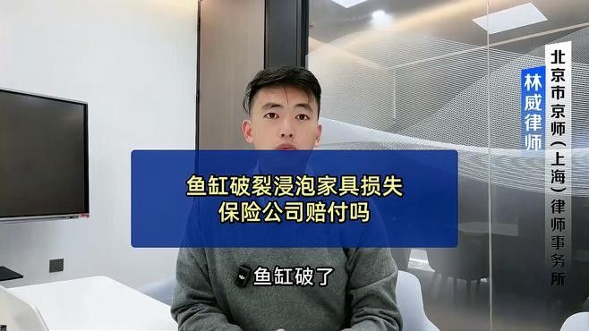 銀龍魚撞缸是什么原因造成的（為什么金龍魚老撞缸）（金龍魚在魚缸中頻繁撞擊缸壁或魚缸本身是由多種原因造成的）