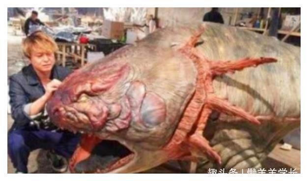 恐龍王魚，恐龍王魚的繁殖技巧，恐龍王魚的飼養(yǎng)誤區(qū)，