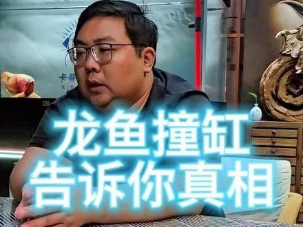 龍魚撞缸時應該如何處理（龍魚撞缸原因及解決方法詳解龍魚撞缸原因及解決辦法） 龍魚撞缸時應該如何處理（龍魚撞缸原因及解決方法詳解龍魚撞缸原因及解決辦法） 龍魚百科 第5張