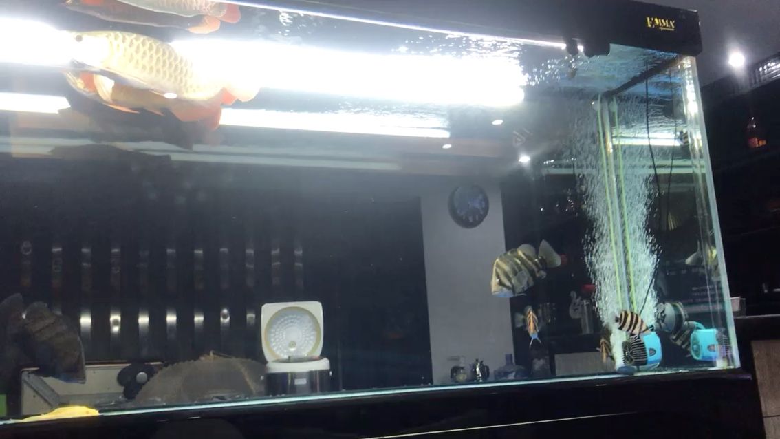 論停電的厲害性（今天朋友家突發(fā)情況停電20小時，他本人工作都是在外）