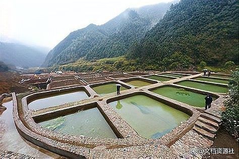 龍魚長期用純凈水會死嗎？（長期使用純凈水飼養龍魚會導致死亡嗎）