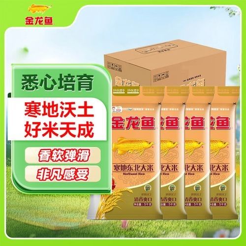 金龍魚有哪些產品？（金龍魚主要產品類型）