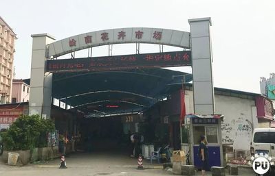 芳村新的花鳥市場在哪里啊：芳村花鳥魚蟲市場已經搬遷至荔灣區芳村龍溪大道廣州花卉博覽園內