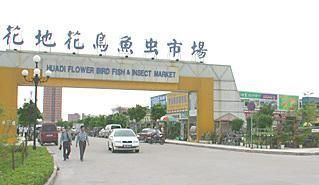 芳村新的花鳥市場在哪里啊：芳村花鳥魚蟲市場已經搬遷至荔灣區芳村龍溪大道廣州花卉博覽園內