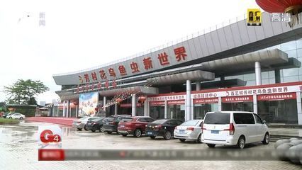 芳村新的花鳥市場在哪里啊：芳村花鳥魚蟲市場已經搬遷至荔灣區芳村龍溪大道廣州花卉博覽園內