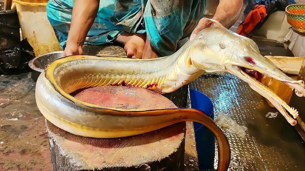 龍魚吃水果需要削皮嗎？（龍魚吃水果一次喂多少合適？）
