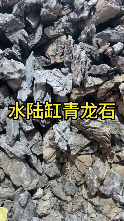 如何選擇適合龍魚缸的石頭（如何挑選適合龍魚缸的石頭）