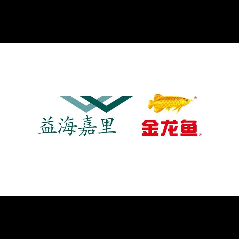 金龍魚生產廠家一覽表（金龍魚生產廠家一覽表：金龍魚生產廠家一覽表）