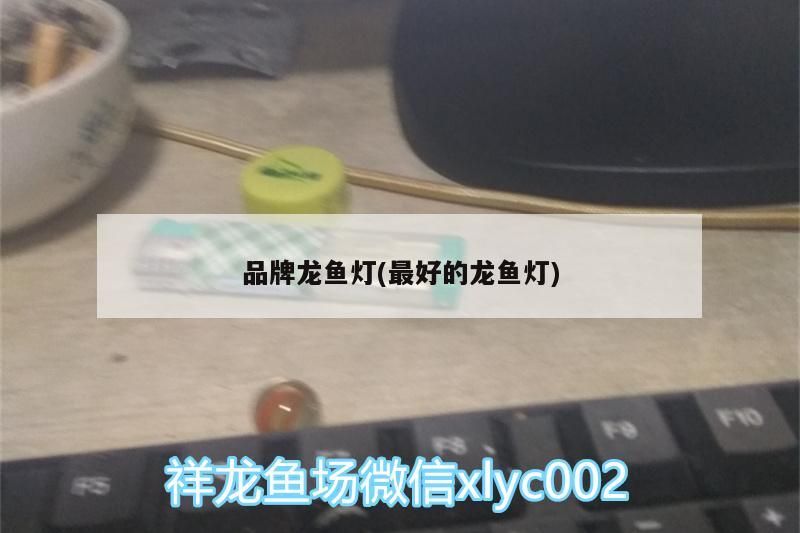 品牌龍魚燈(最好的龍魚燈)（紅龍魚用什么燈好？）