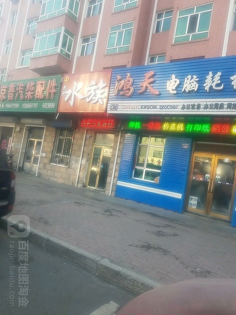 雞西哪個水族館龍魚好？祥龍魚場龍魚