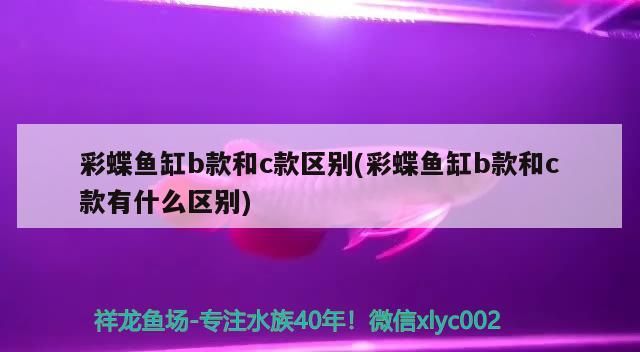 彩蝶魚(yú)缸b款和c款區(qū)別(彩蝶魚(yú)缸b款和c款有什么區(qū)別)（彩蝶魚(yú)缸b款和c款區(qū)別） 彩蝶魚(yú)缸b款和c款區(qū)別(彩蝶魚(yú)缸b款和c款有什么區(qū)別)（彩蝶魚(yú)缸b款和c款區(qū)別） 觀(guān)賞魚(yú)百科