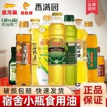 如何搭配過背金龍魚的飲食，過背金龍魚分階段喂養計劃表