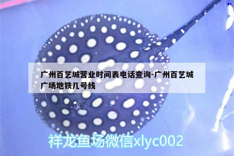 廣州百藝城營業(yè)時(shí)間表電話查詢:廣州百藝城廣場地鐵幾號(hào)線（南廣州百藝城營業(yè)時(shí)間表）