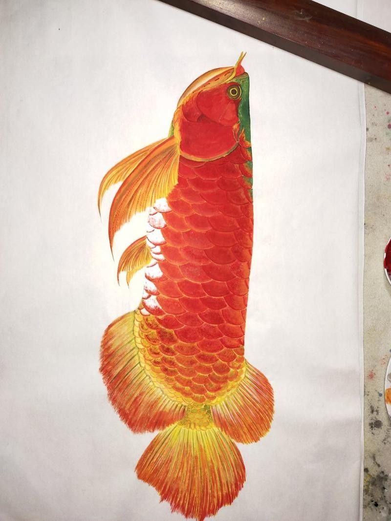 紅龍魚壁紙有哪些主題？（常見的紅龍魚壁紙主題：自然景觀、神話傳說、動物或抽象藝術）