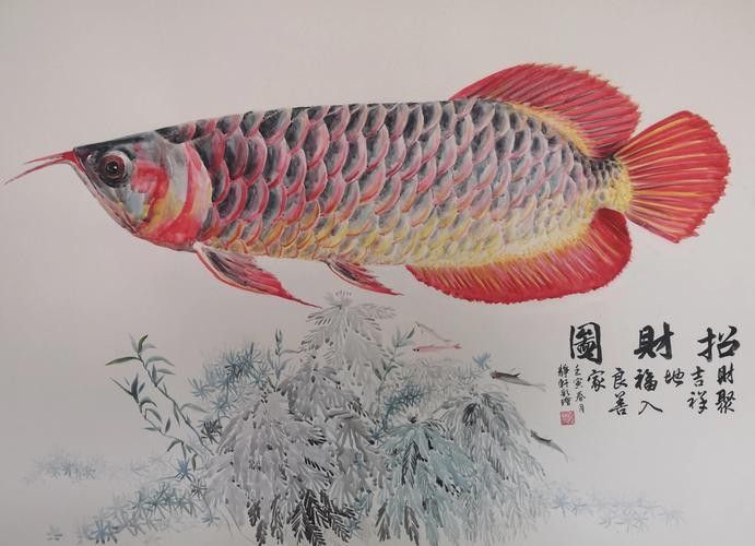 紅龍魚壁紙有哪些主題？（常見的紅龍魚壁紙主題：自然景觀、神話傳說、動物或抽象藝術）