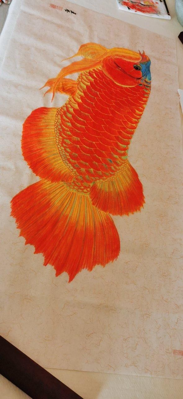 紅龍魚壁紙有哪些主題？（常見的紅龍魚壁紙主題：自然景觀、神話傳說、動物或抽象藝術）
