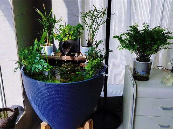 有哪些植物可以放在混養缸里（混養缸中適合放在混養缸中的植物：燈心草金魚藻金魚藻）