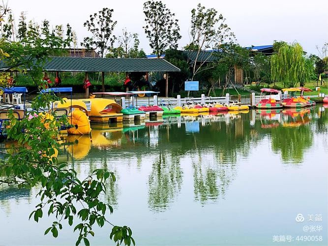 有沒有推薦的南京龍魚養(yǎng)殖場？（南京龍魚養(yǎng)殖場）