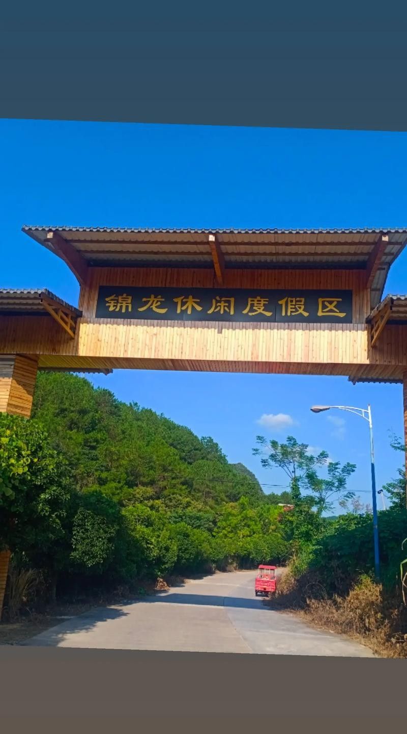 有沒有推薦的南京龍魚養(yǎng)殖場？（南京龍魚養(yǎng)殖場）