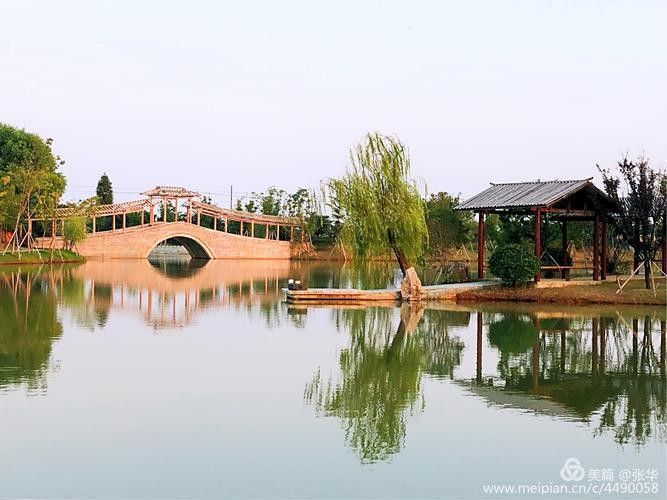 有沒有推薦的南京龍魚養(yǎng)殖場？（南京龍魚養(yǎng)殖場）
