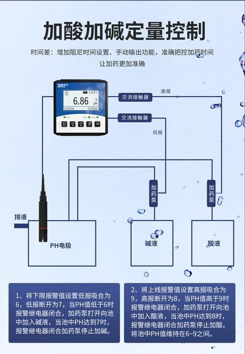 如何給小紅龍魚提供穩定的水質（20-30公分龍魚飼養技巧）
