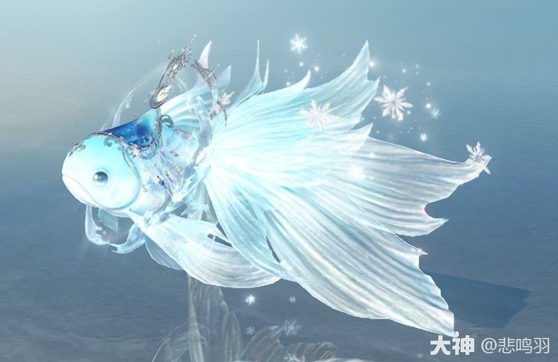 如何獲取過江龍魚的高清大圖（男子在菜市場發現稀有海魚,魚身發綠鱗片晶瑩,網友:感覺吃不起） 如何獲取過江龍魚的高清大圖（男子在菜市場發現稀有海魚,魚身發綠鱗片晶瑩,網友:感覺吃不起） 龍魚百科 第4張