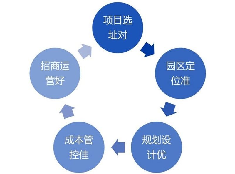 如何為龍魚魚缸選擇合適的水草？，龍魚缸水草搭配清單