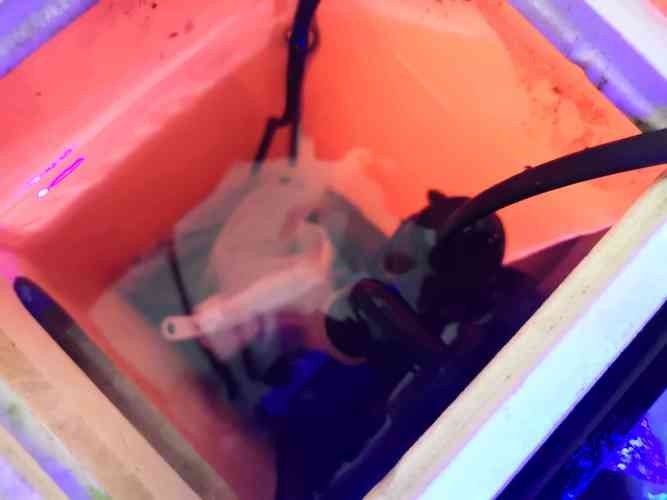 六角龍魚缸需要加熱棒嗎（六角恐龍魚是否需要加熱棒）