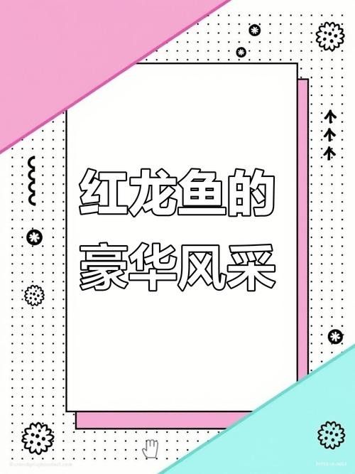哪里可以找到稀有紅龍魚圖片（如何找到稀有紅龍魚圖片） 哪里可以找到稀有紅龍魚圖片（如何找到稀有紅龍魚圖片） 龍魚百科 第17張