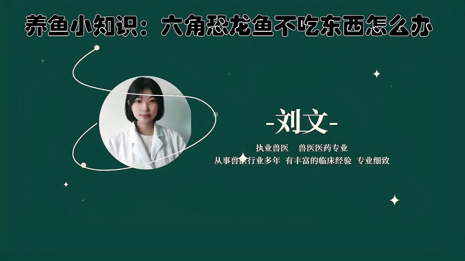 恐龍魚拒食怎么辦？（六角恐龍魚不吃東西怎么辦小周聊寵物恐龍魚不吃東西怎么辦）
