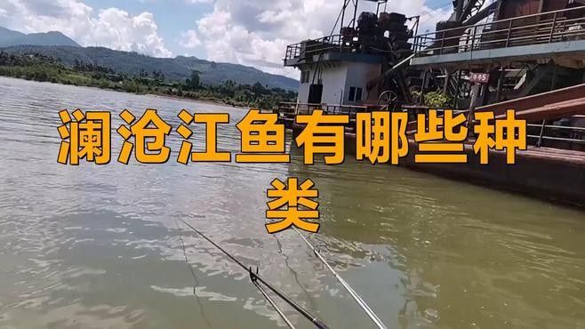 瀾滄江龍魚有哪些品種（瀾滄江龍魚品種詳解：瀾滄江龍魚的品種繁多）