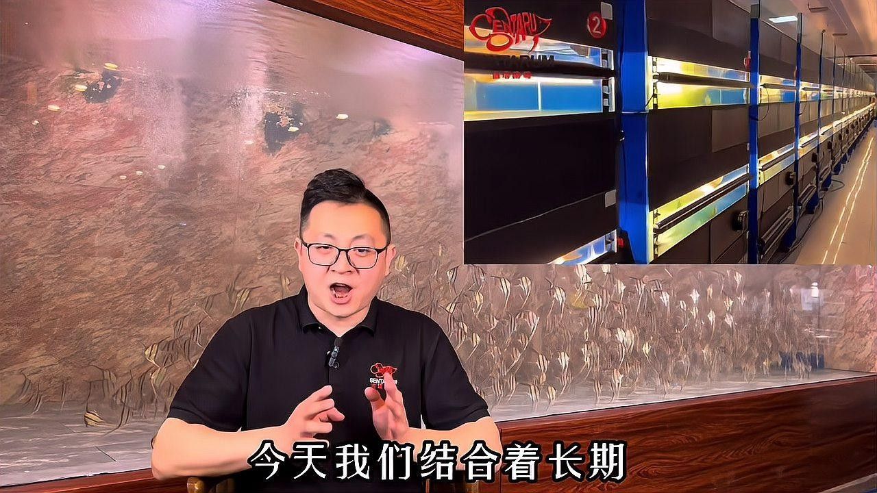 龍魚死亡后需要全缸換水嗎（魚死亡后需要全缸換水嗎魚缸換水的正確方法大揭秘）