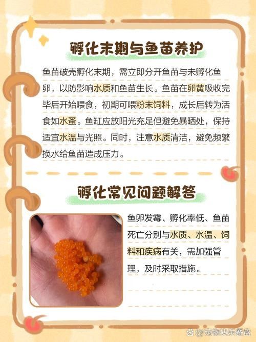 給我一些麗江龍魚卵的圖片（麗江龍魚卵）