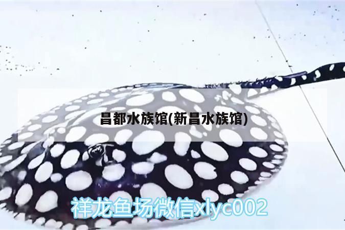 昌都水族館(新昌水族館)