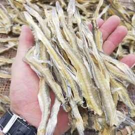 北京龍魚品種及特色介紹（北京龍魚的飼養條件是什么）