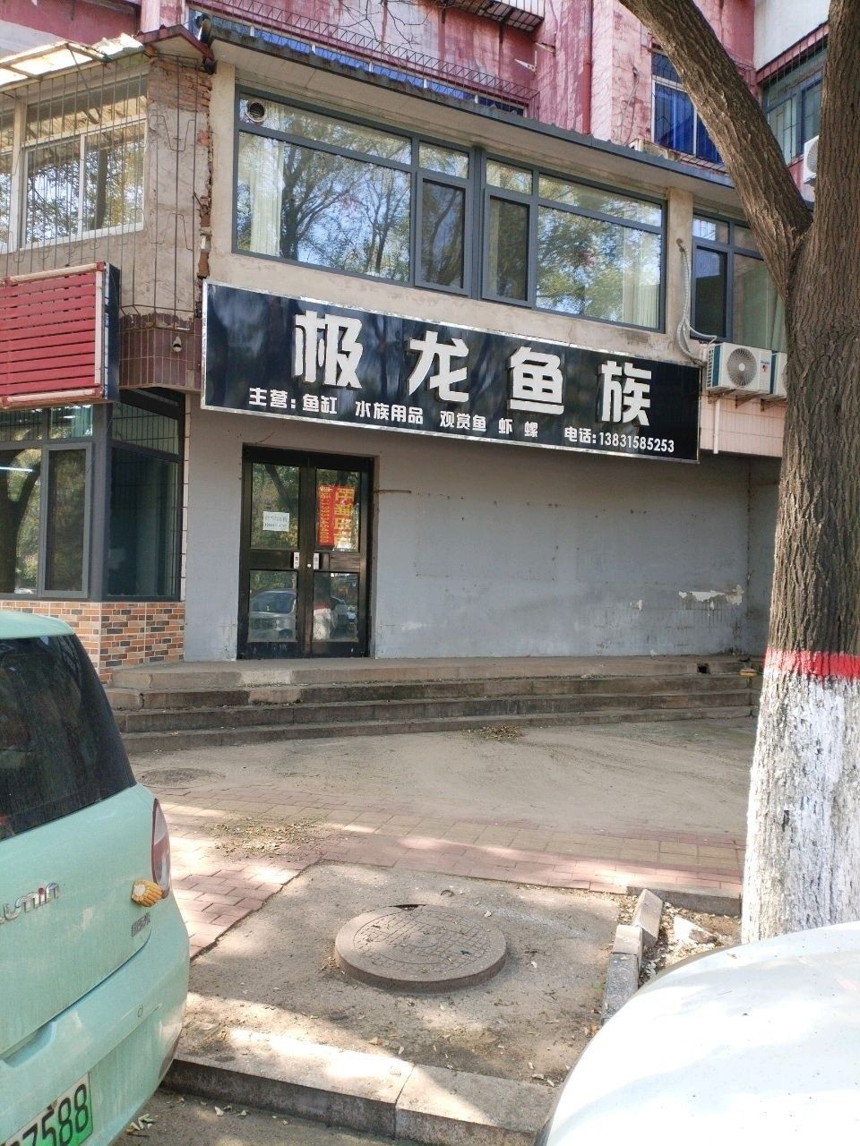 紅龍魚和金龍魚的市場(chǎng)價(jià)格差異大嗎（紅龍魚與金龍魚的市場(chǎng)價(jià)格差異顯著，紅龍魚和金龍魚哪個(gè)更難養(yǎng)）