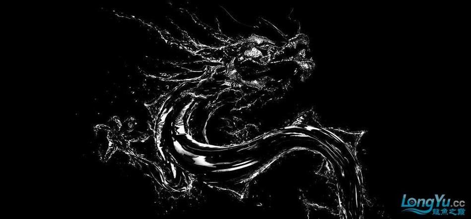 龍魚缸背景圖有哪些材質？（魚缸背景圖的材質多樣）