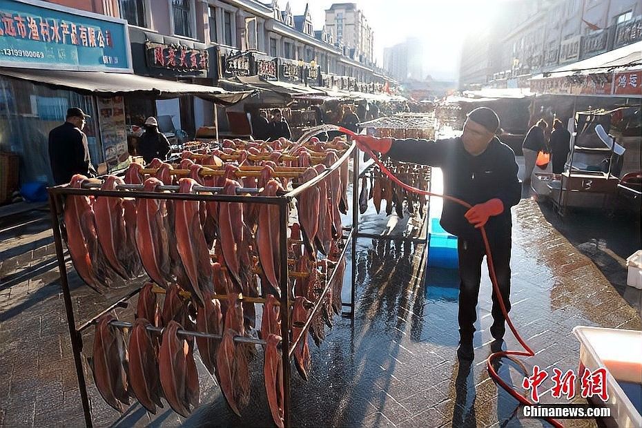 中國(guó)魚苗批發(fā)最大市場(chǎng)（中國(guó)最大的魚苗批發(fā)市場(chǎng)）