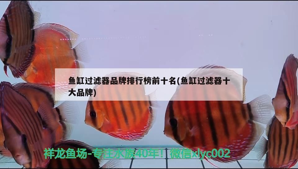 魚缸過濾器品牌排行榜前十名(魚缸過濾器十大品牌)（2022年魚缸過濾器品牌排行榜前十名魚缸過濾器品牌排行榜）